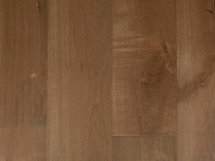 Roble canyon  MDA1521